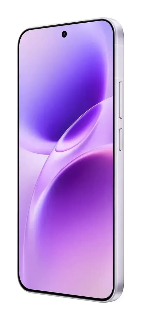 Смартфон Vivo X300FE 5G 12GB/256GB (холодный лиловый)