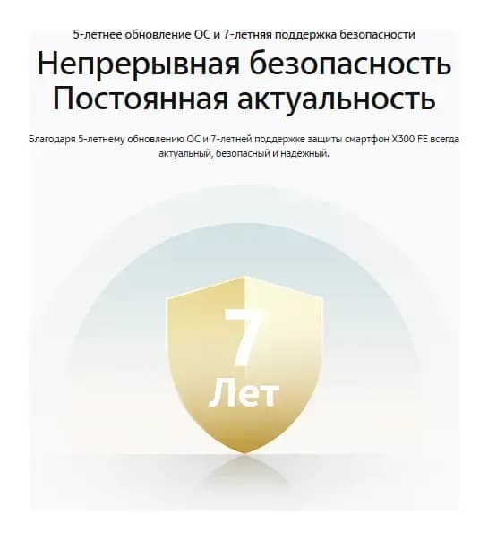 Смартфон Vivo X300FE 5G 12GB/256GB (графитовый/черный)