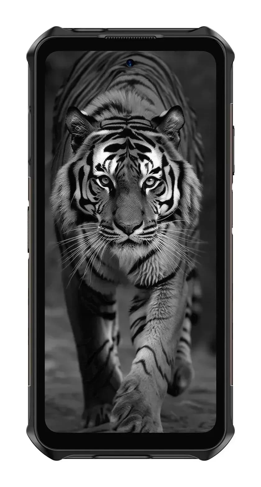 Смартфон Ulefone Armor X16 Pro 8GB/256GB (черный)