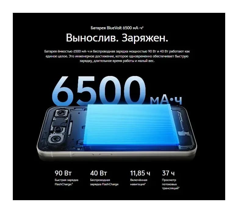 Смартфон Vivo X300FE 5G 12GB/256GB (графитовый/черный)