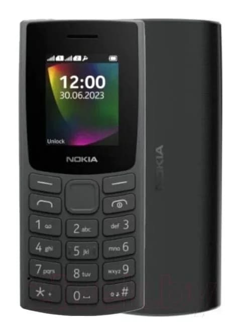 Мобильный телефон Nokia 106 DS / TA-1564 (угольный)