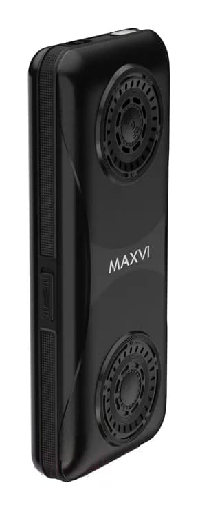 Мобильный телефон Maxvi P110 (черный)