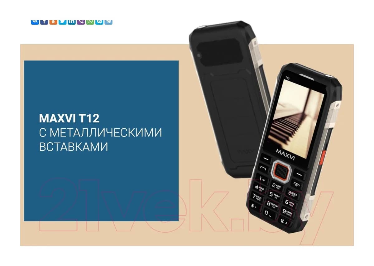 Мобильный телефон Maxvi T12 (черный)