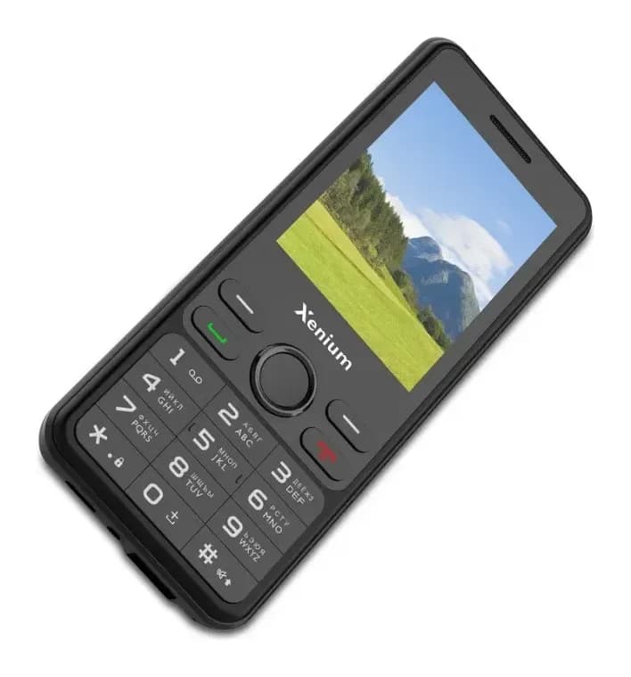 Мобильный телефон Xenium X280 32MB/32MB (черный)
