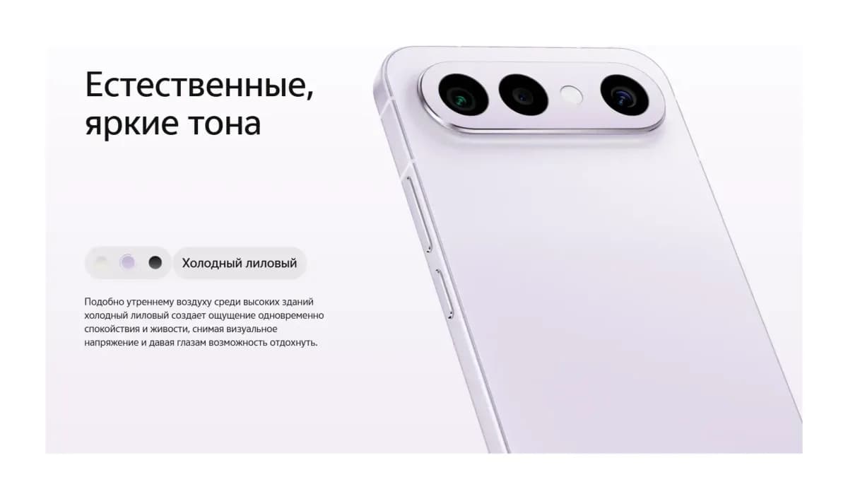 Смартфон Vivo X300FE 5G 12GB/256GB (графитовый/черный)