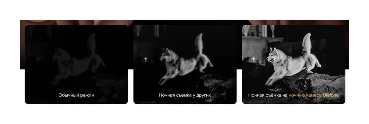 Смартфон Ulefone Armor 27 12GB/256GB (черный)