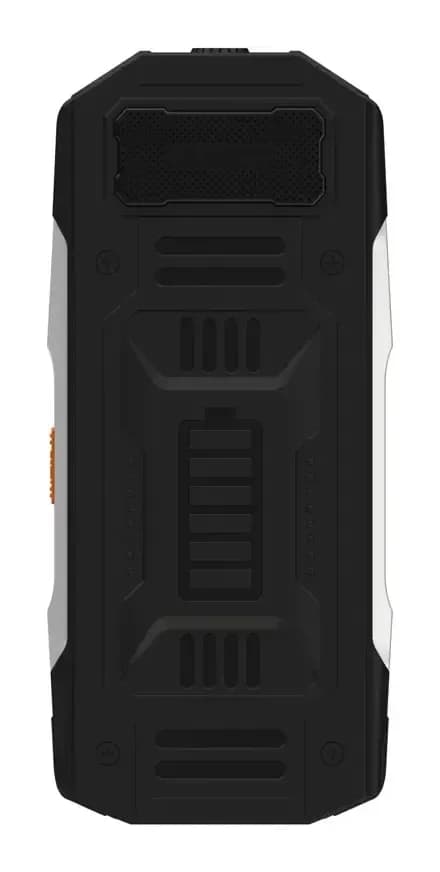 Мобильный телефон Maxvi T19 (черный)