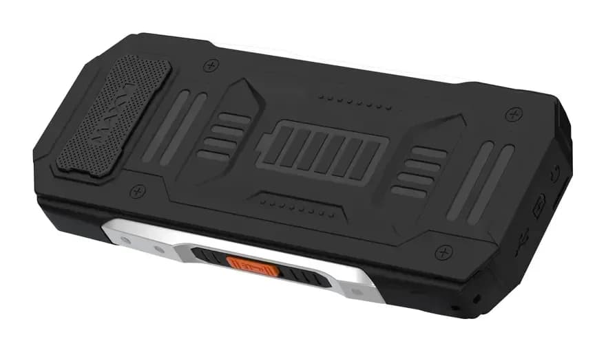Мобильный телефон Maxvi T19 (черный)