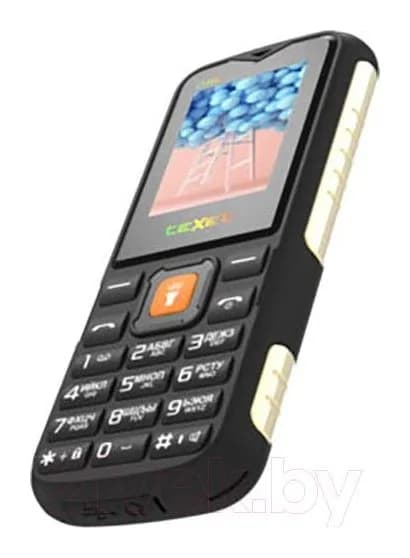 Мобильный телефон Texet TM-D400 (черный)
